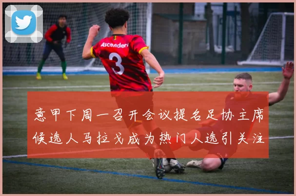 意甲下周一召开会议提名足协主席候选人马拉戈成为热门人选引关注